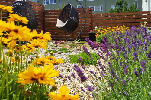 Rekonstrukce předzahrádky Brno